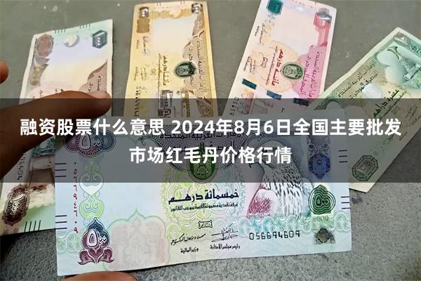 融资股票什么意思 2024年8月6日全国主要批发市场红毛丹价格行情