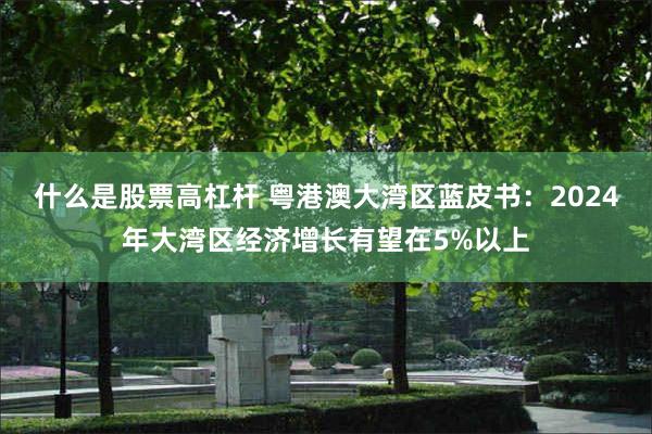 什么是股票高杠杆 粤港澳大湾区蓝皮书：2024年大湾区经济增长有望在5%以上