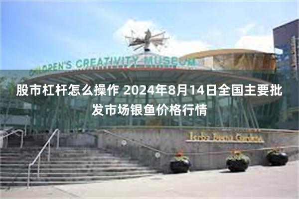 股市杠杆怎么操作 2024年8月14日全国主要批发市场银鱼价格行情