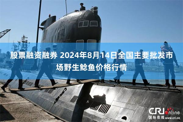 股票融资融券 2024年8月14日全国主要批发市场野生鲶鱼价格行情