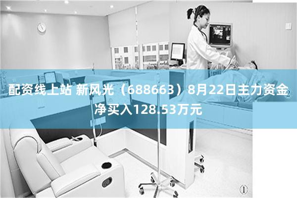 配资线上站 新风光（688663）8月22日主力资金净买入128.53万元