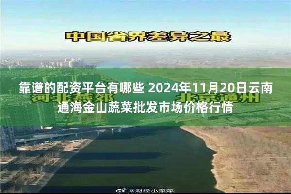 靠谱的配资平台有哪些 2024年11月20日云南通海金山蔬菜批发市场价格行情