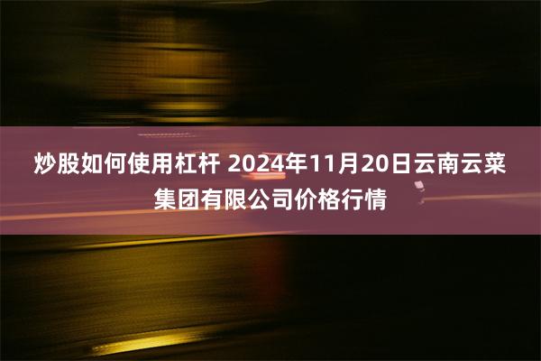 炒股如何使用杠杆 2024年11月20日云南云菜集团有限公司价格行情