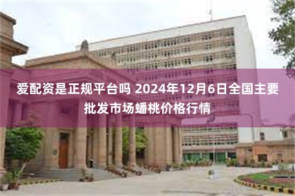 爱配资是正规平台吗 2024年12月6日全国主要批发市场蟠桃价格行情