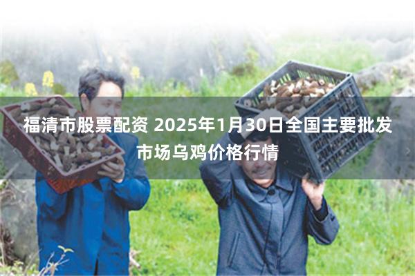 福清市股票配资 2025年1月30日全国主要批发市场乌鸡价格行情