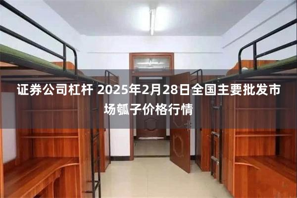 证券公司杠杆 2025年2月28日全国主要批发市场瓠子价格行情